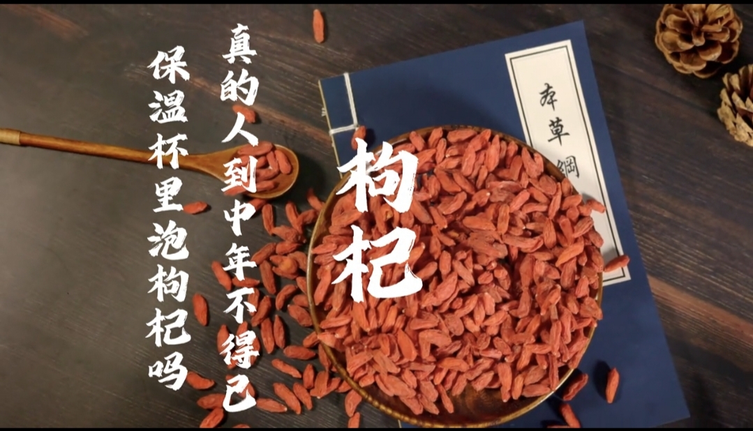 枸杞子