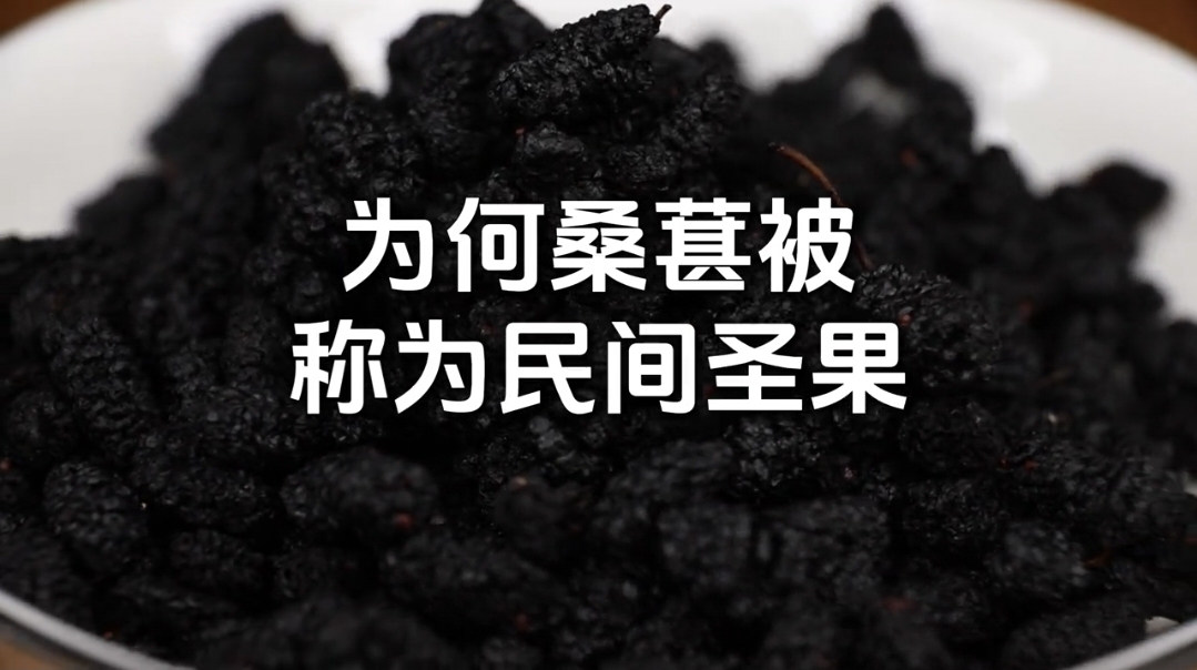 桑葚