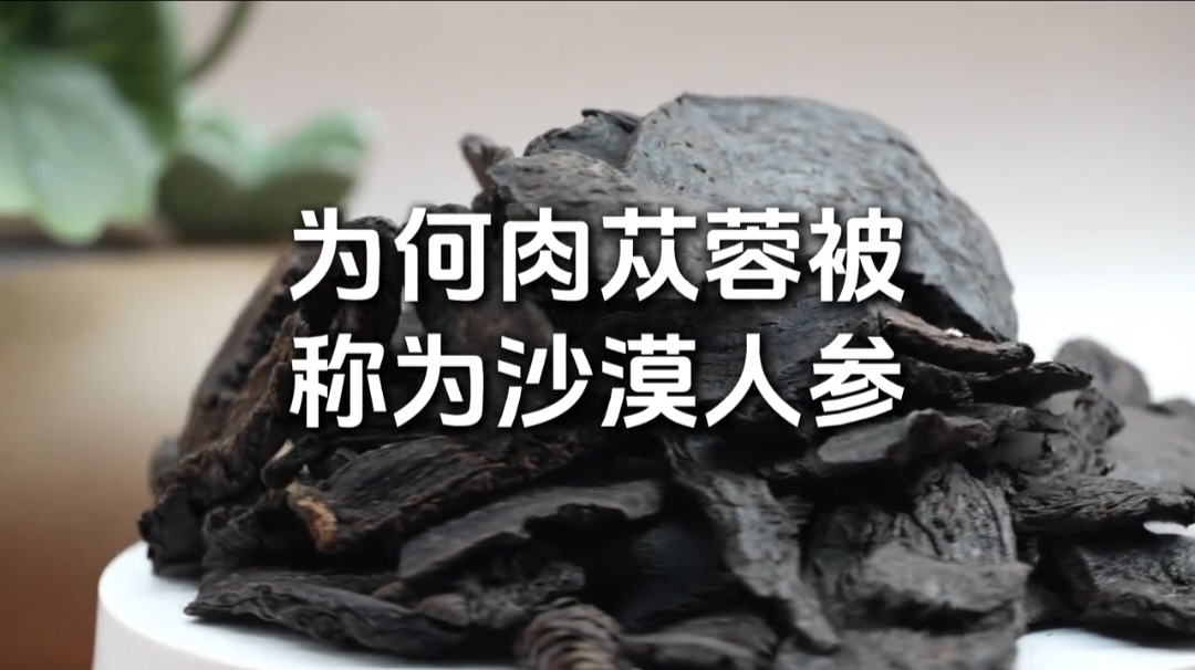 肉苁蓉