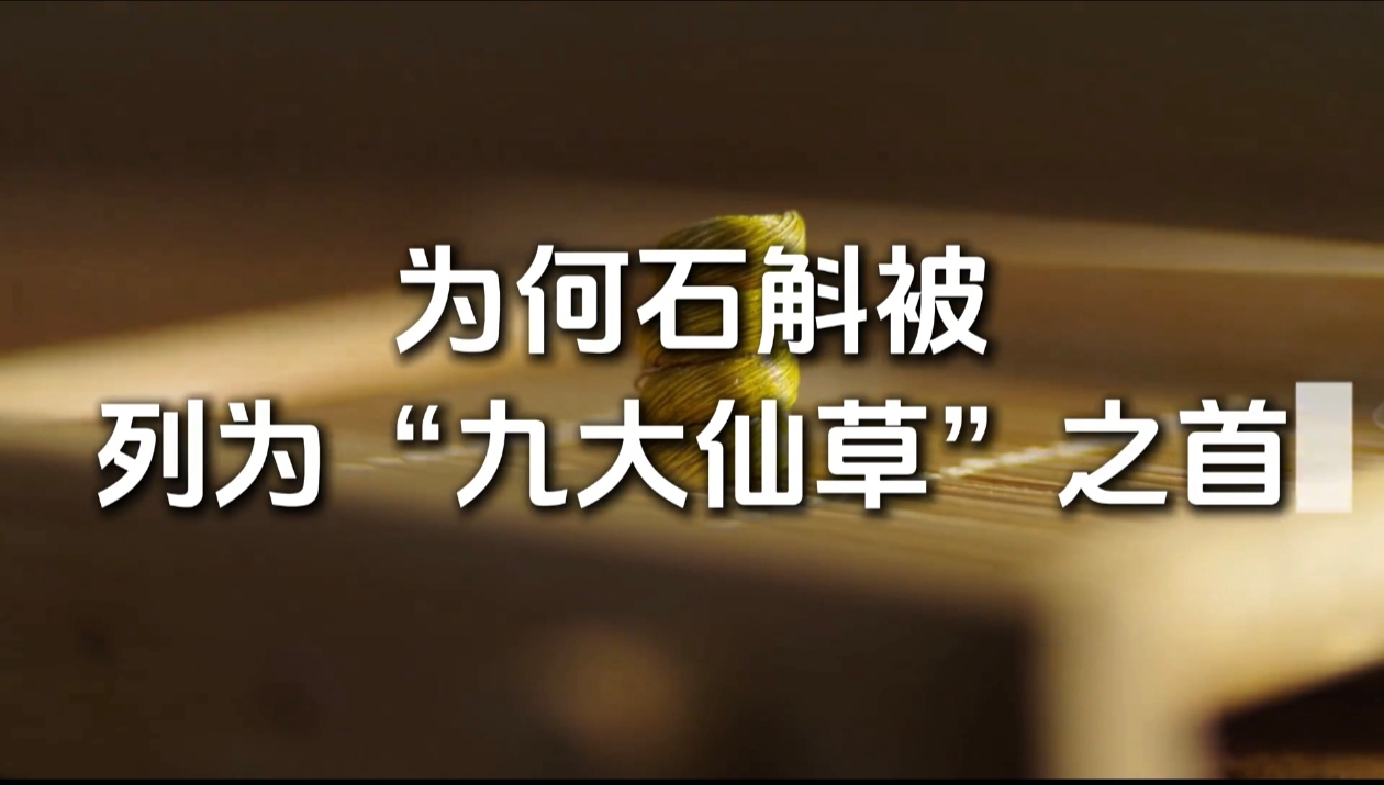 铁皮石斛